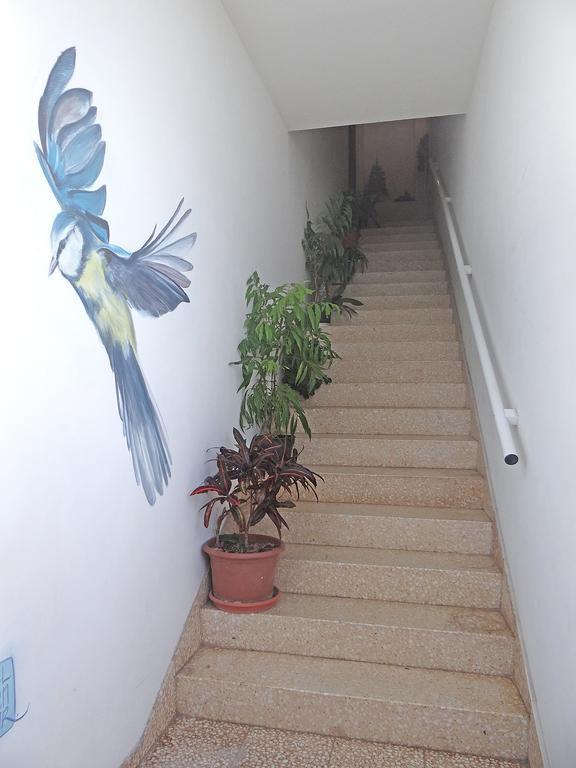 Apartamentos Dominguez Calera Kültér fotó